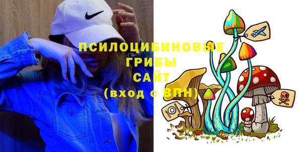 ПСИЛОЦИБИНОВЫЕ ГРИБЫ Бугульма