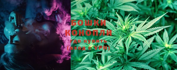 ПСИЛОЦИБИНОВЫЕ ГРИБЫ Бугульма